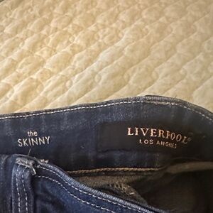 Liverpool Dark Blue Skinny Jeans for Women